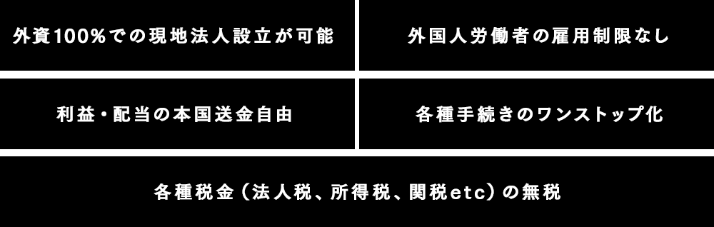 フリーゾーンにおけるビジネス優遇措置