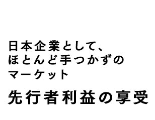 新興国として近年注目されている未開拓マーケット、日本企業として「一番乗り」が期待できる地域